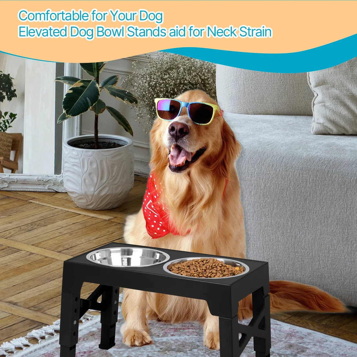 Top 10 Elevated Dog Bowl Stands with Stainless Steel Dishes