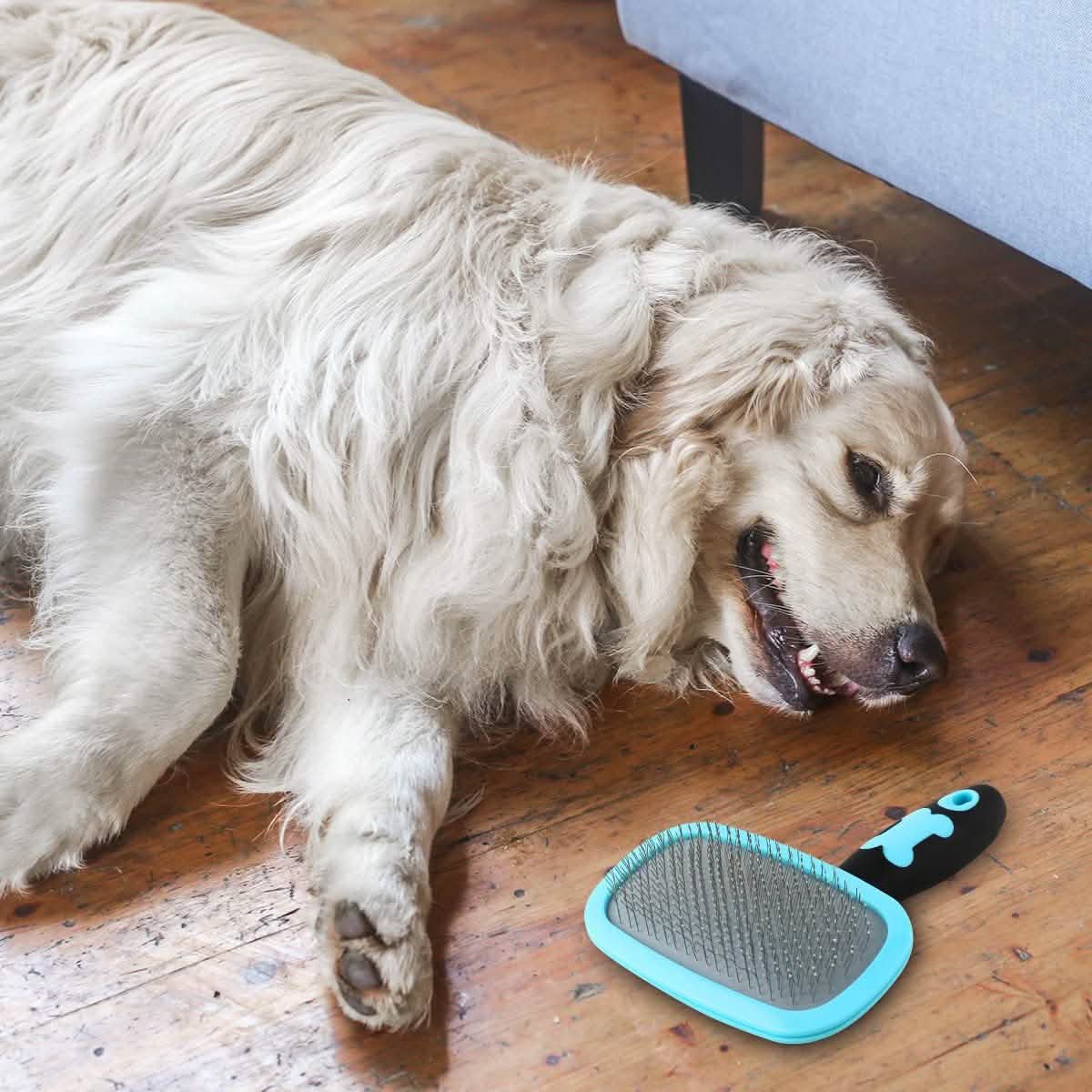 Glendan Dog Brush & Cat Brush - Slicker Pet Grooming Brush