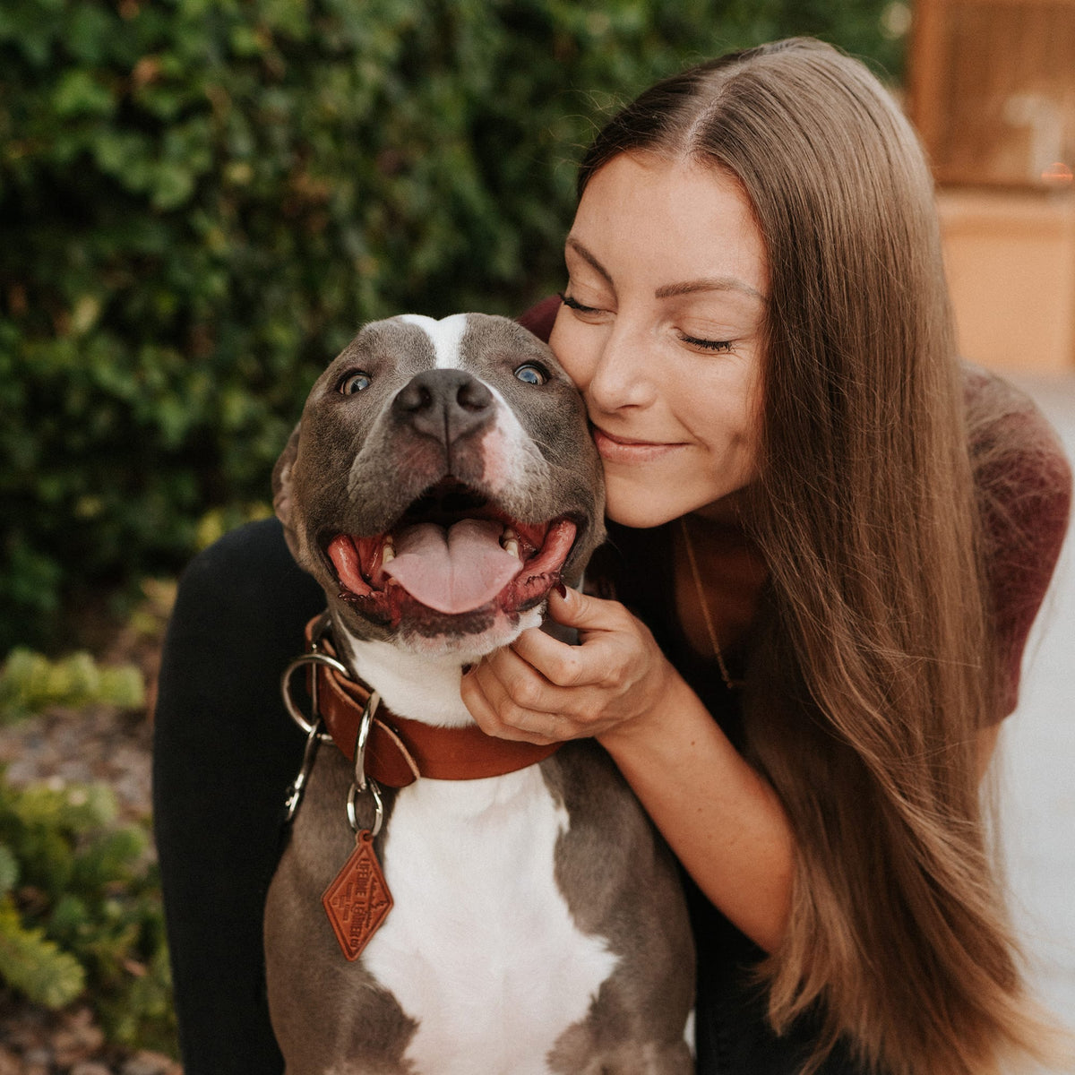 Leather Dog Collar - Classic